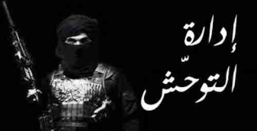 الخيال المتوحش في أمريكا حين يتحول الحلم إلى قوة بلا روح